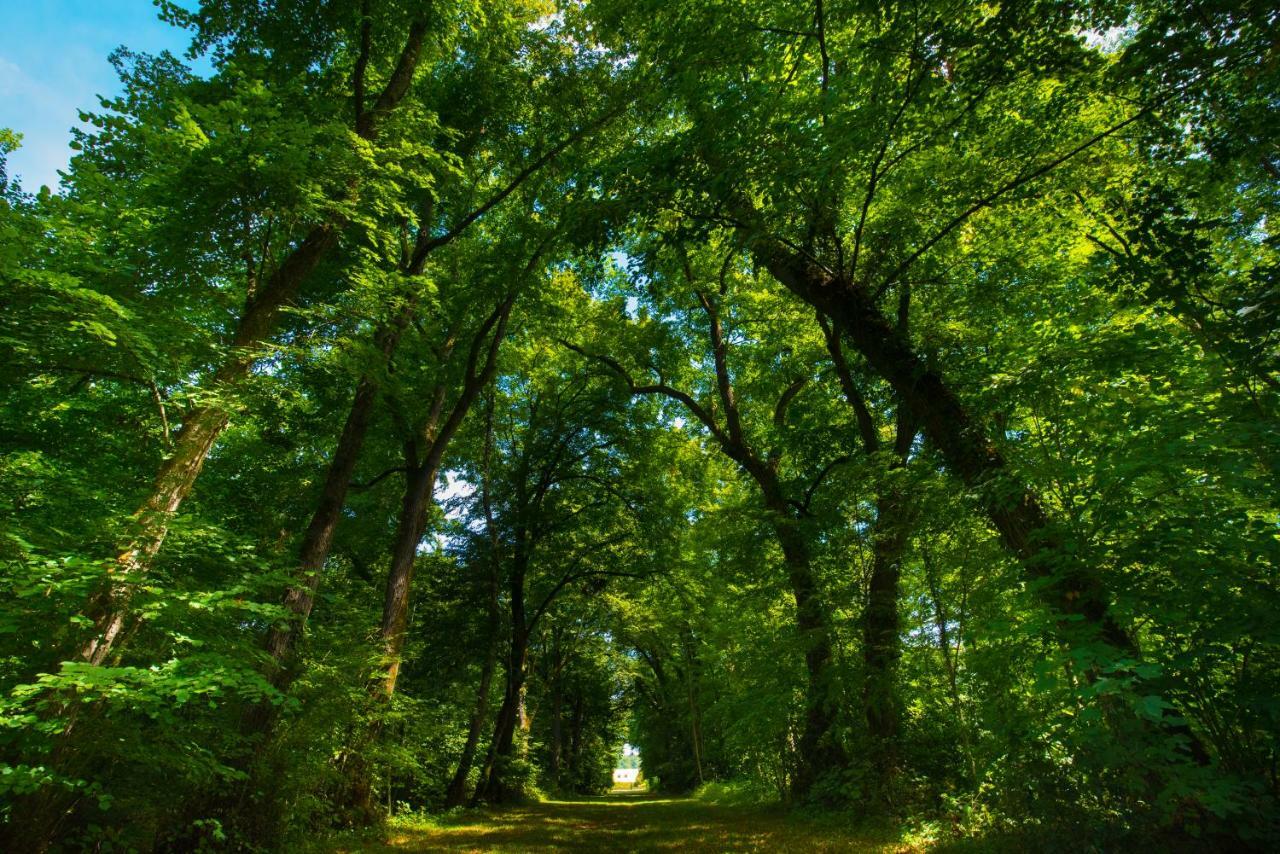 Hotel Du Domaine De La Groirie - Le Mans Trange Экстерьер фото